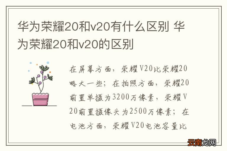 华为荣耀20和v20有什么区别 华为荣耀20和v20的区别