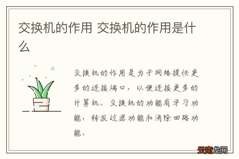 交换机的作用 交换机的作用是什么
