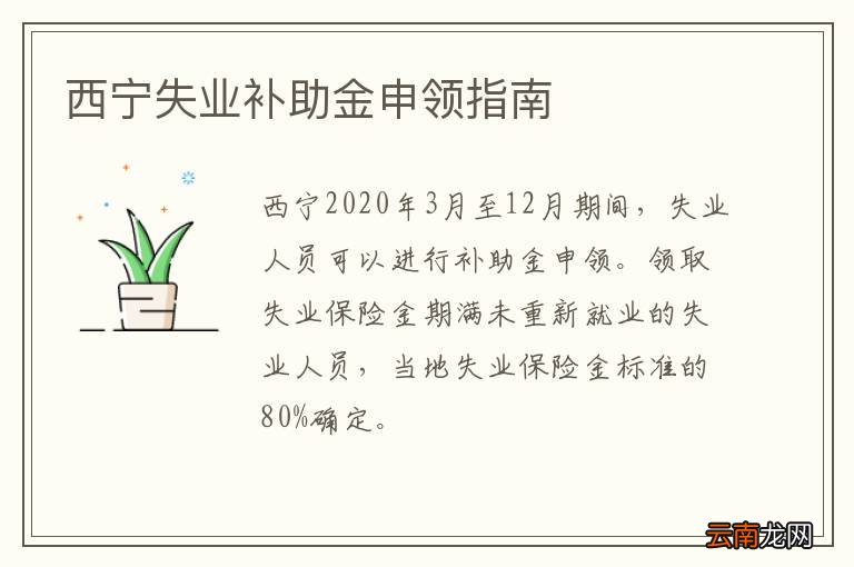 西宁失业补助金申领指南