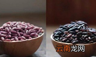 黑米和紫米有什么区别 黑米和紫米区别是什么