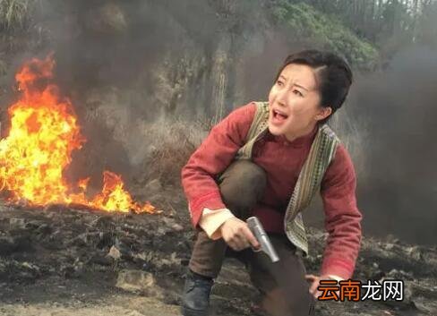 王其美龙马是什么电视剧