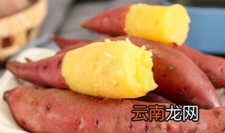 蕃薯什么时候种 番薯什么时候种最好