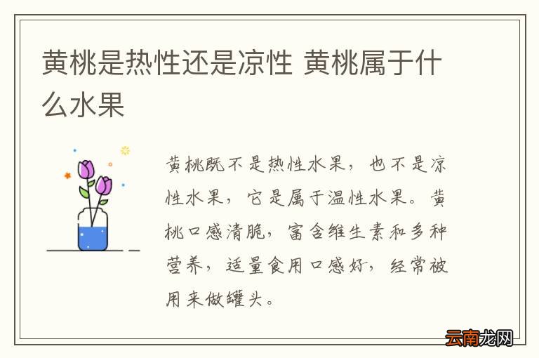 黄桃是热性还是凉性 黄桃属于什么水果