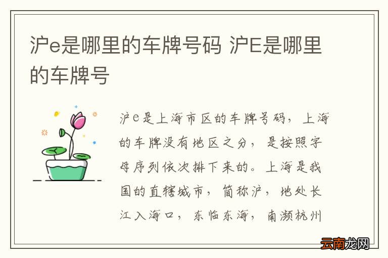 沪e是哪里的车牌号码 沪E是哪里的车牌号