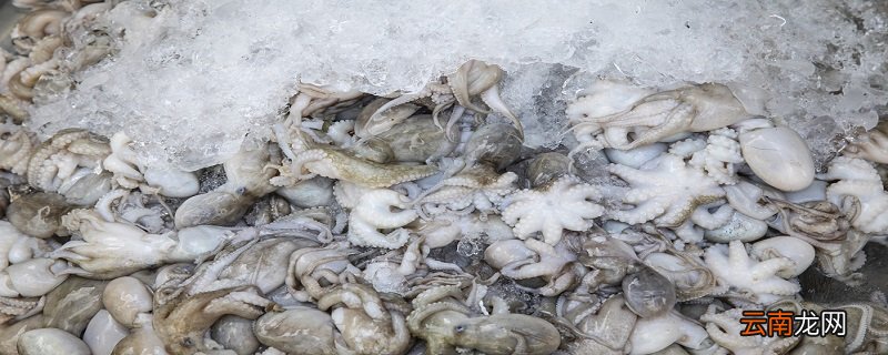 墨鱼仔煮几分钟能熟 墨鱼仔需要煮多久