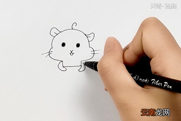 仓鼠弟弟简笔画