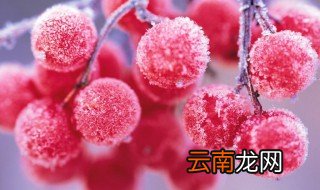 做冰杨梅怎么做好吃 杨梅可以怎么做