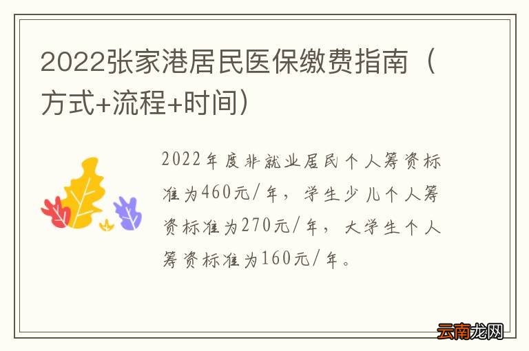 方式+流程+时间 2022张家港居民医保缴费指南