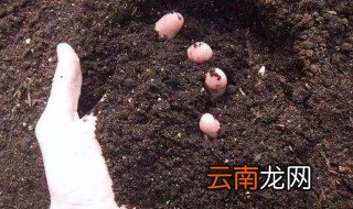 哪种土壤的透气性最好 什么土壤的透气性最好