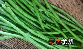 长豆角几月份种最好 长豆角什么时候种最好