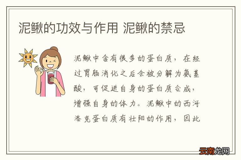 泥鳅的功效与作用 泥鳅的禁忌