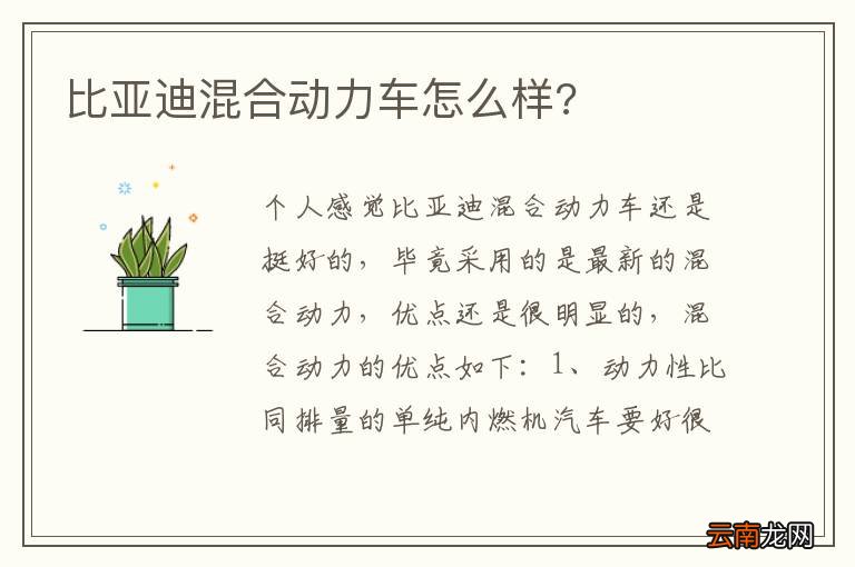 比亚迪混合动力车怎么样?