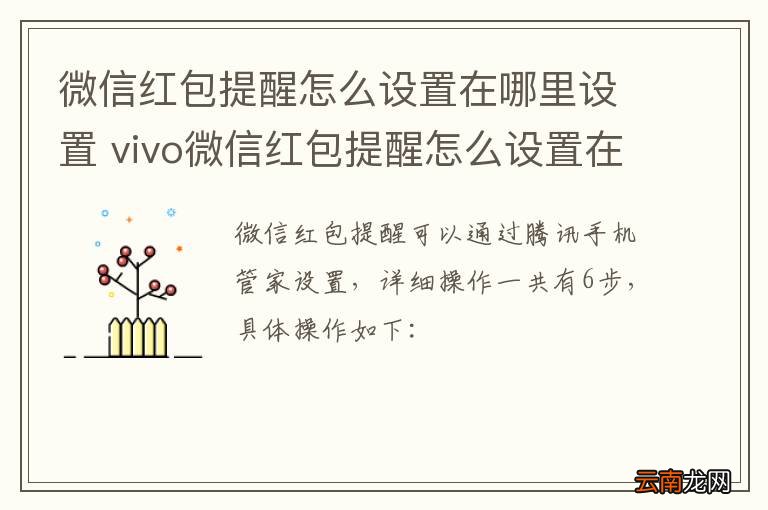 微信红包提醒怎么设置在哪里设置 vivo微信红包提醒怎么设置在哪里设置