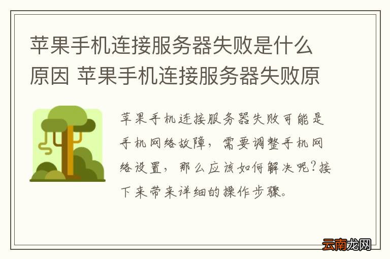 苹果手机连接服务器失败是什么原因 苹果手机连接服务器失败原因