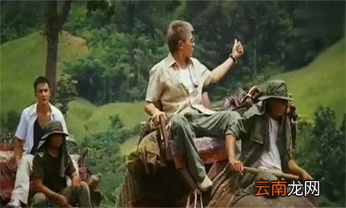 门徒中阿芬放信箱里的是什么