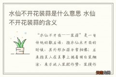 水仙不开花装蒜是什么意思 水仙不开花装蒜的含义