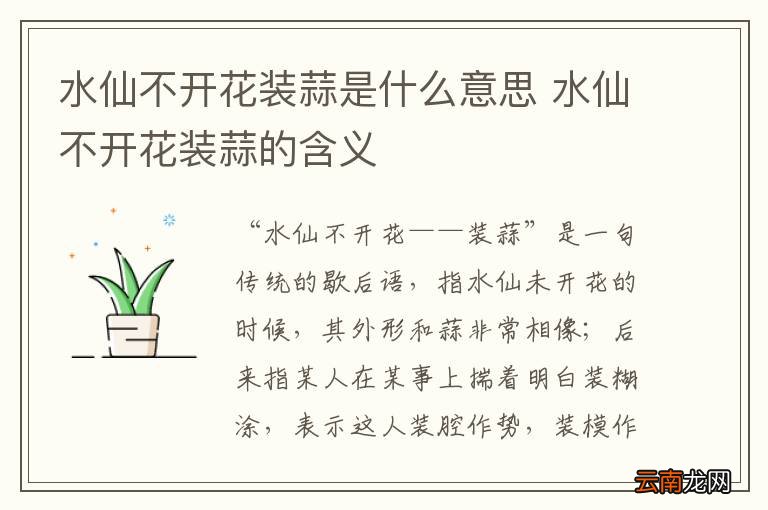 水仙不开花装蒜是什么意思 水仙不开花装蒜的含义