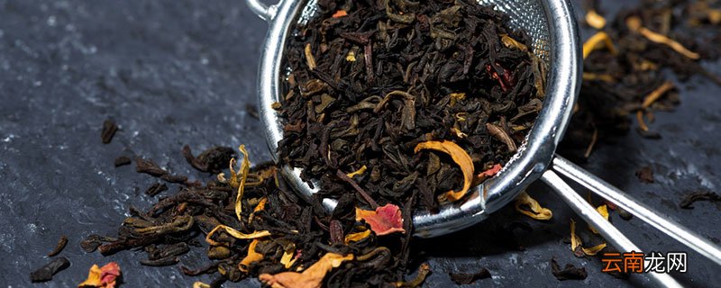 黑茶里面的黄点是什么黑茶的小黄点