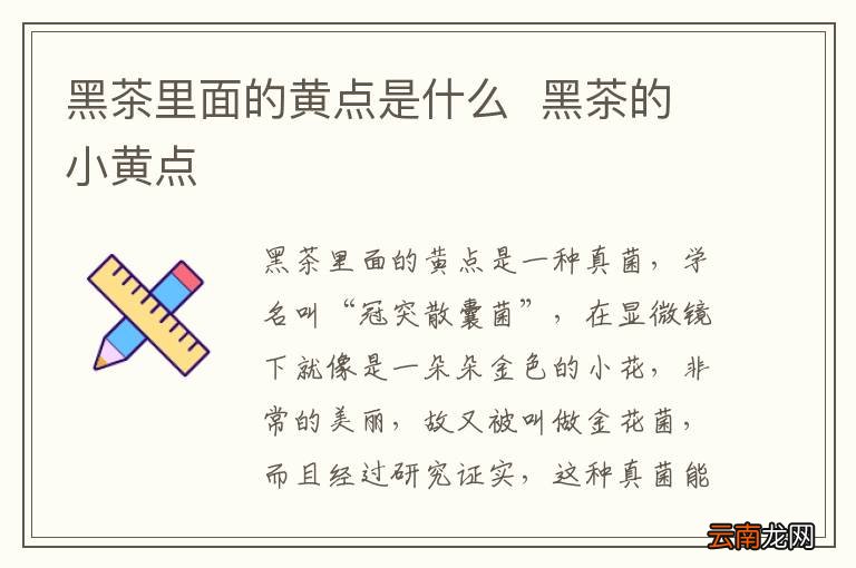 黑茶里面的黄点是什么黑茶的小黄点