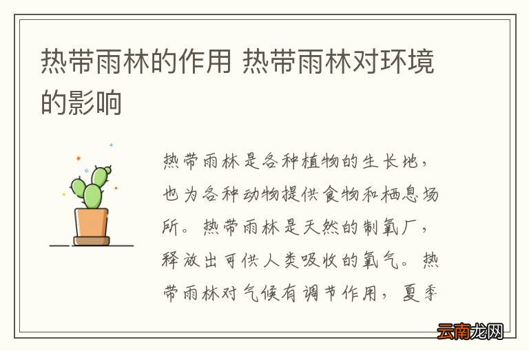 热带雨林的作用 热带雨林对环境的影响