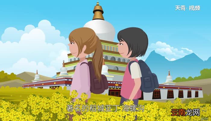川v是四川哪里的车牌号 川V牌照是什么地方的车牌