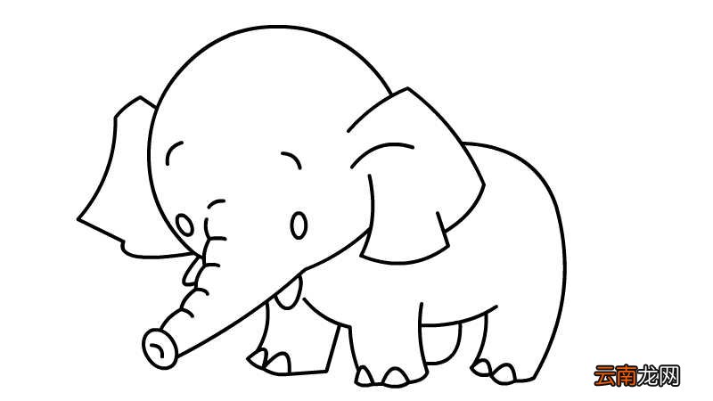 小象简笔画 小象的画法