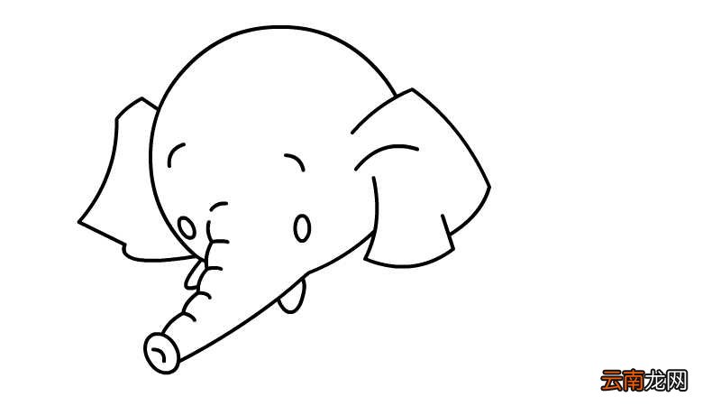 小象简笔画 小象的画法