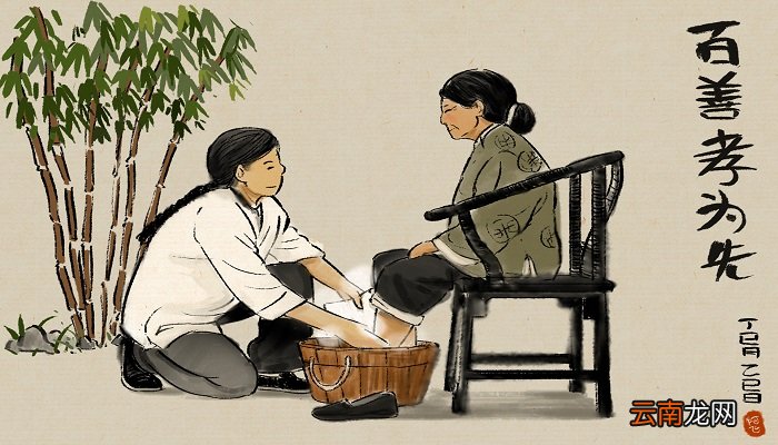 乌鸦反哺的故事 乌鸦反哺的意思是什么