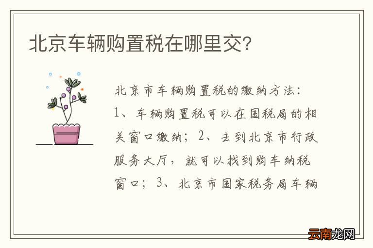 北京车辆购置税在哪里交?