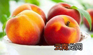 夏至养生水果有哪些 夏至养生水果举例