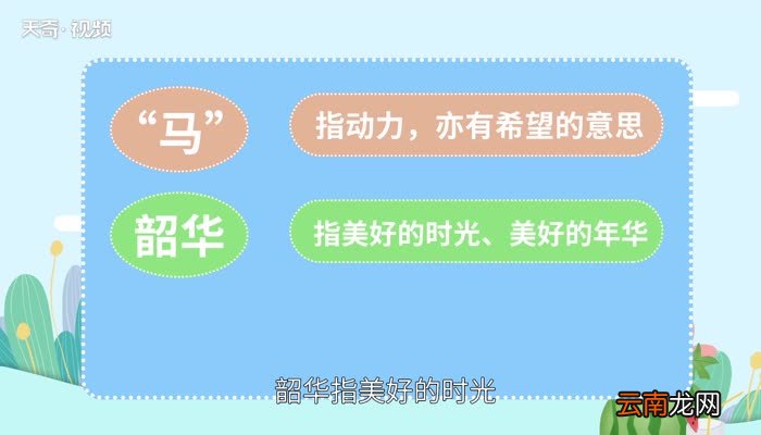 不负韶华下一句是什么不负韶华下一句