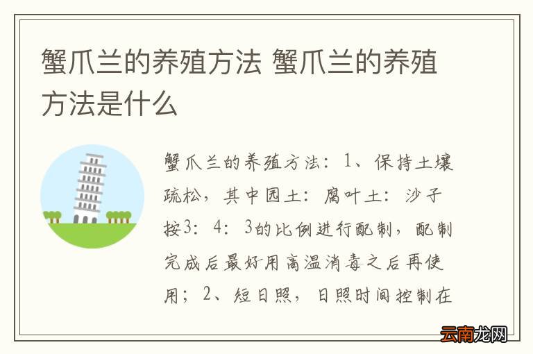 蟹爪兰的养殖方法 蟹爪兰的养殖方法是什么