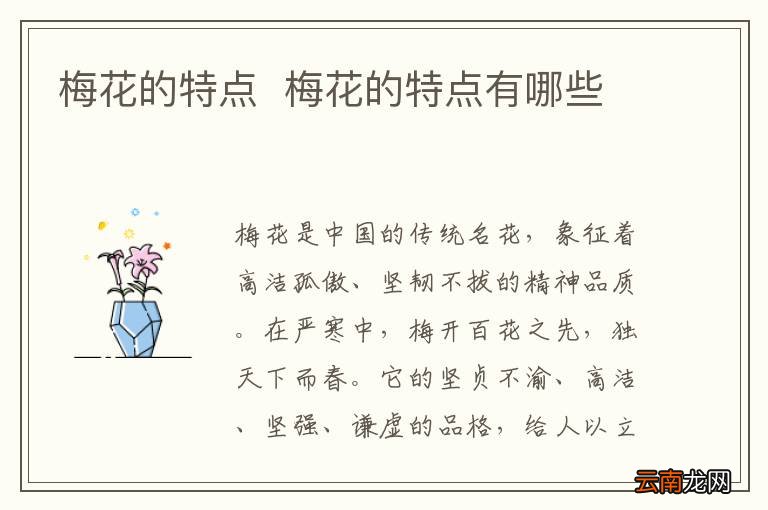 梅花的特点梅花的特点有哪些