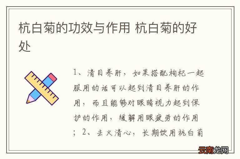 杭白菊的功效与作用 杭白菊的好处