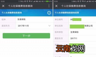 手机微信怎么交医保 有流程吗