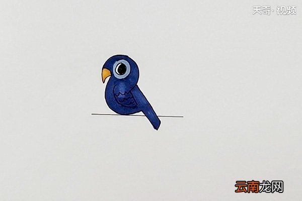 宠物鸟简笔画