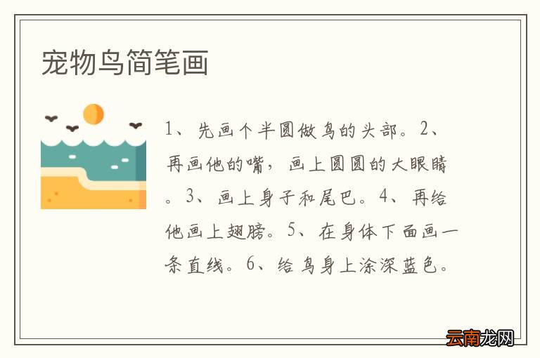 宠物鸟简笔画