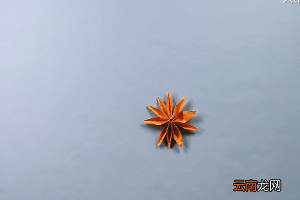 菊花怎么折 菊花的折法