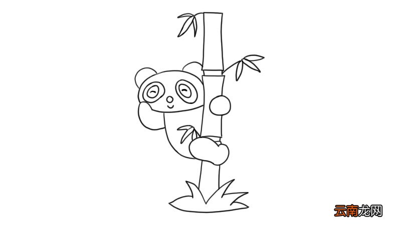 可爱的大熊猫简笔画