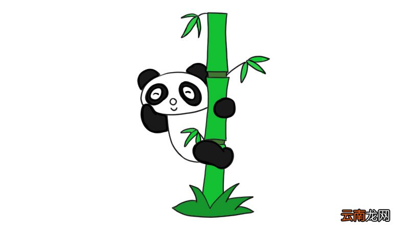 可爱的大熊猫简笔画