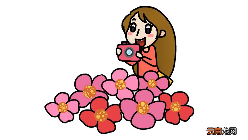 春天的图画 春天的图画简笔画