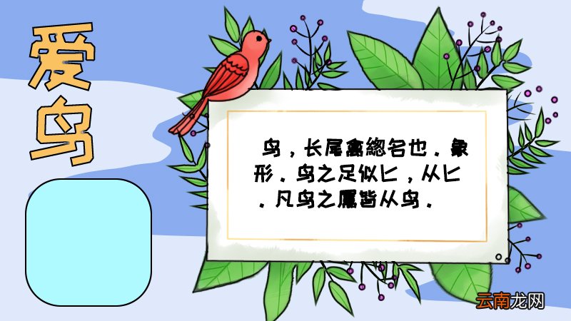 爱鸟手抄报内容,爱鸟手抄报内容画法