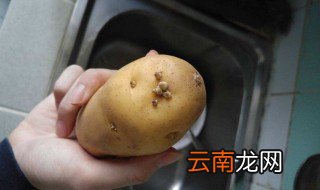马铃薯发芽能吃吗 发芽马铃薯食后会引起中毒