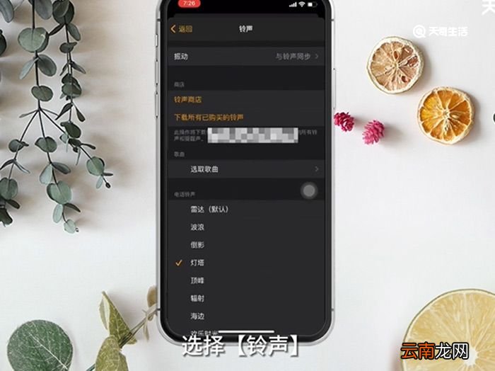 苹果12闹钟铃声设置 苹果12闹钟设置