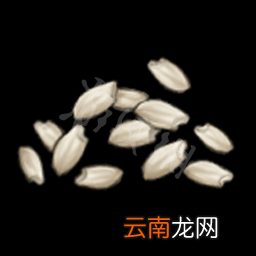 天命奇御特殊道具大全 天命奇御特殊道具有哪些 普通清水
