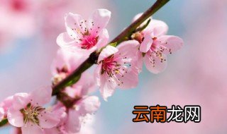 3月励志心情说说致自己 3月励志心情句子精选