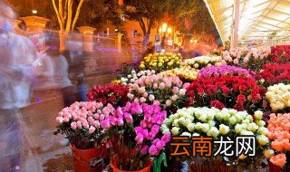 兰花翻盘技巧 兰花翻盘技巧介绍