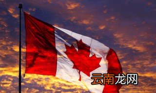 什么人适合移民加拿大 最适合移民加拿大的人群有哪些