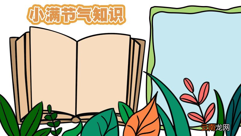 关于小满的知识手抄报 关于小满的知识手抄报画法