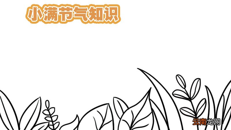 关于小满的知识手抄报 关于小满的知识手抄报画法